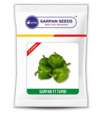 Baby Capsicum Sarpan F1 Tambi 30 grams